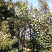 Village East Mobile Home Park ico