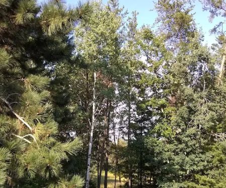 Village East Mobile Home Park