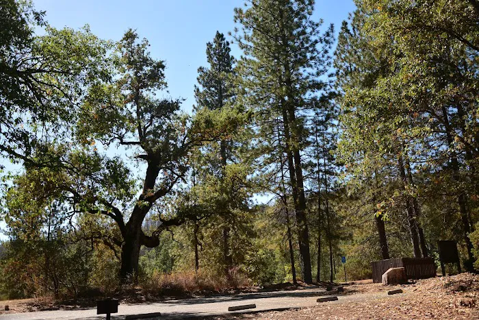 Recreation Point Group Campground Picture 2
