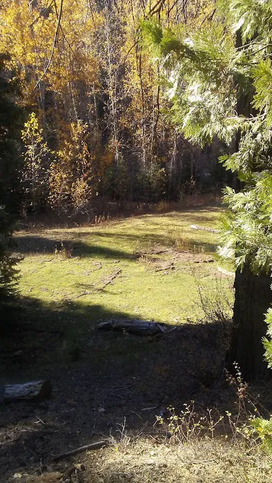 Greys Mountain Campground Picture 6