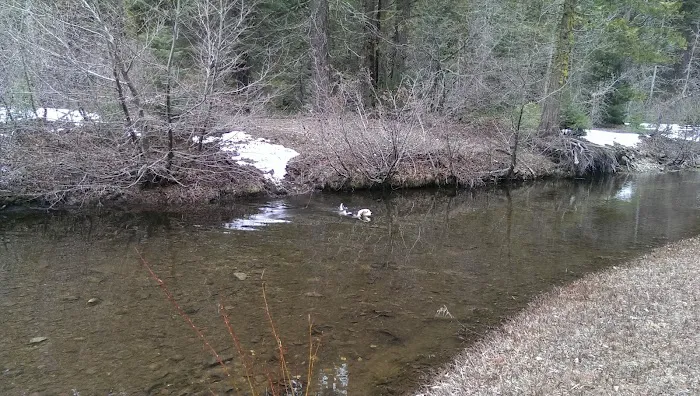 Greys Mountain Campground Picture 7
