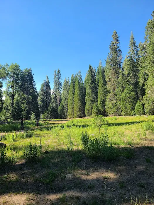 Greys Mountain Campground Picture 4