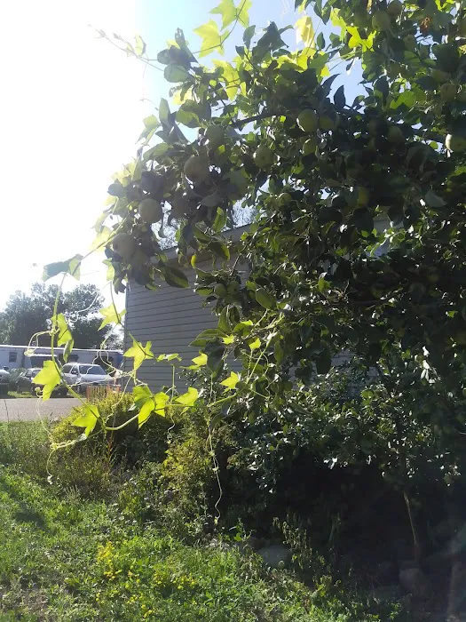 Sherwood Manor Picture 6