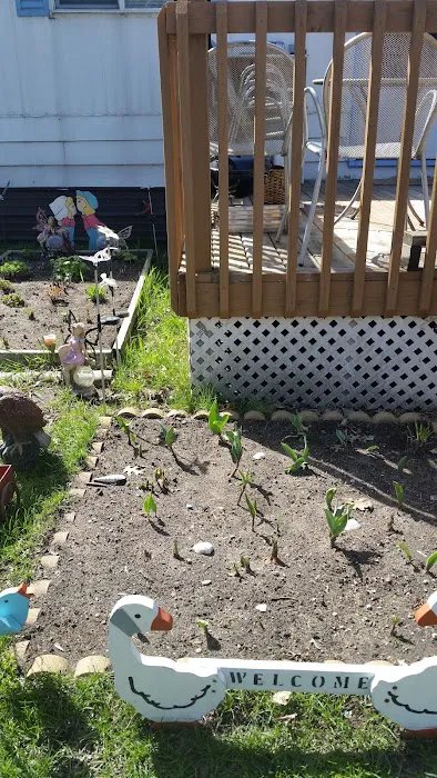 Sherwood Manor Picture 4