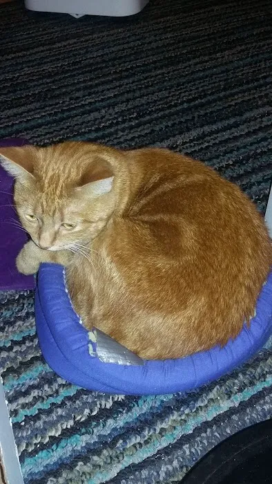 Sherwood Manor Picture 8