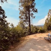 Forks Campground ico
