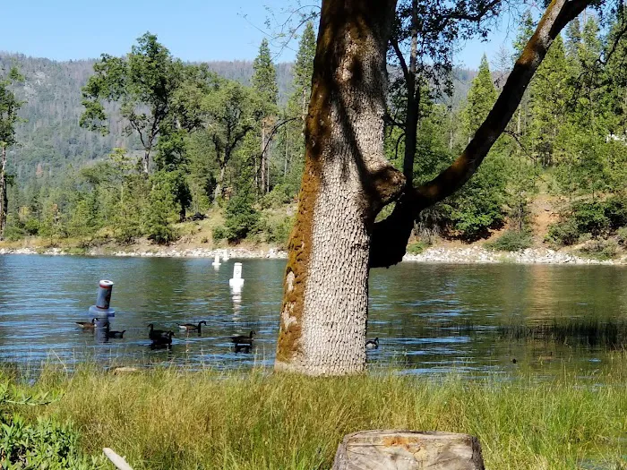 Forks Campground Picture 9