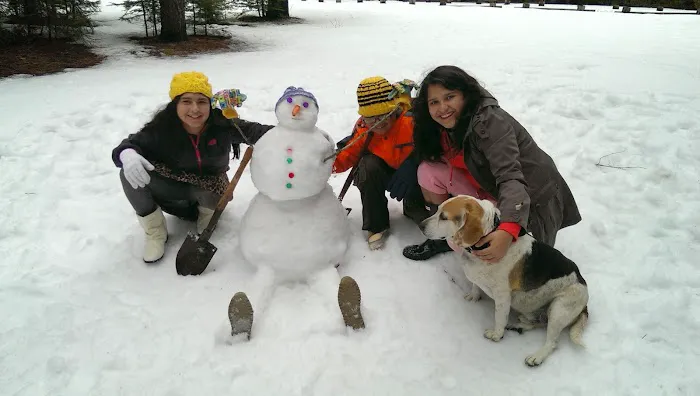 Soquel Campground Picture 4