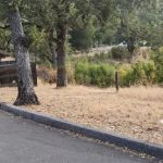 Halls Valley Campground