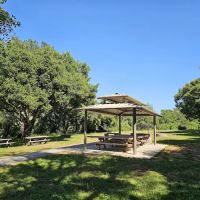 Black Tail group camp site ico