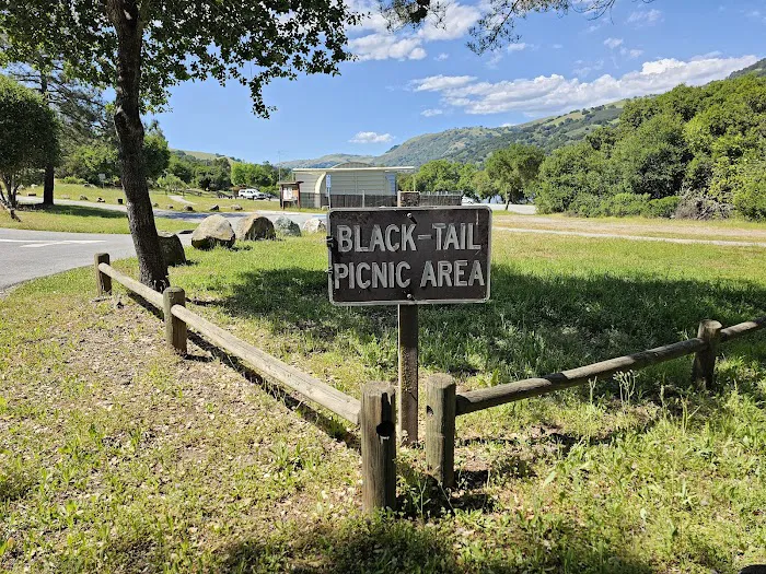 Black Tail group camp site Picture 2