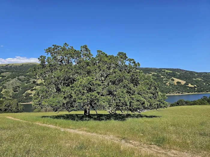 Black Tail group camp site Picture 6