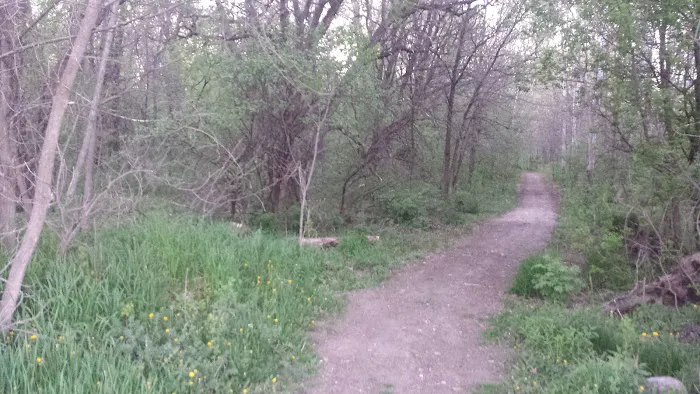 Evergreen Village Picture 8