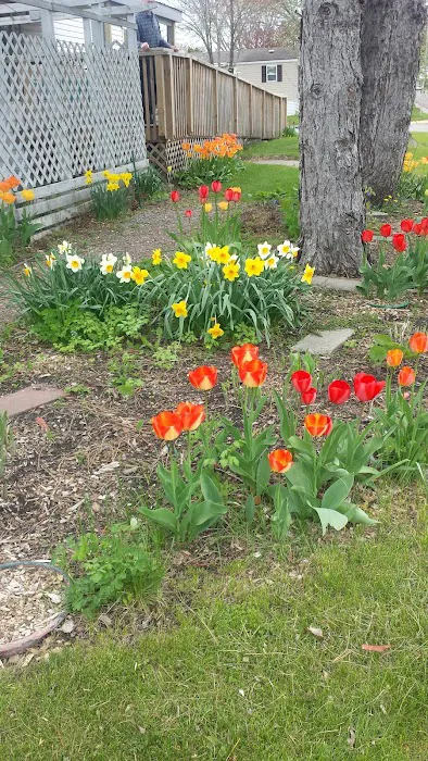 Evergreen Village Picture 6