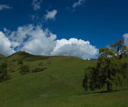 Eagles Aerie Backpack Camp