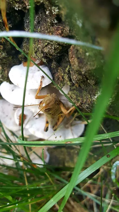 Rockwood Estates Property Management Picture 9