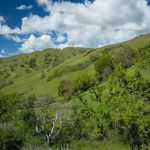 Hawks Nest Backpack Camp