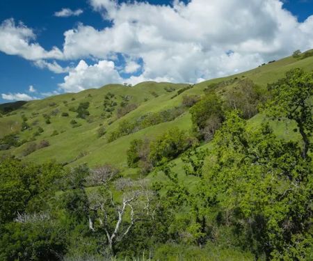 Hawks Nest Backpack Camp