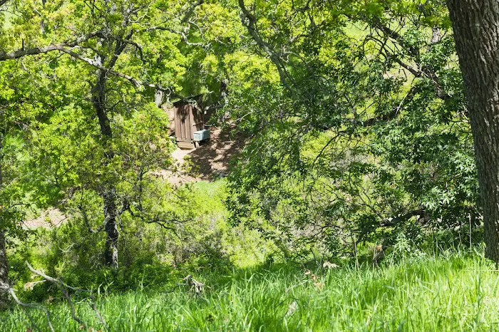 Sycamore Camp Picture 1