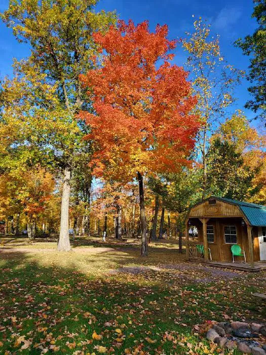 Banning RV Park & Campground Picture 4