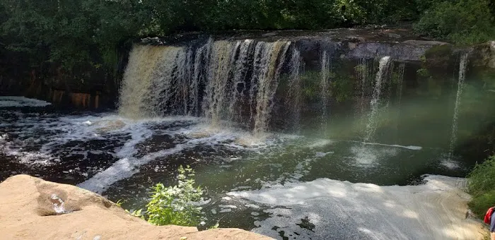 Banning RV Park & Campground Picture 7