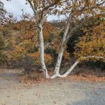 Cathedral Backpack Camp