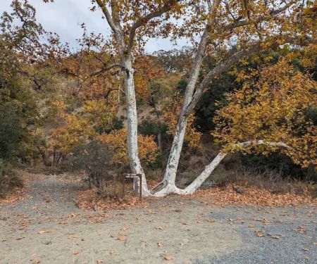 Cathedral Backpack Camp