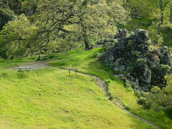 Sunol Backpack Camp Picture 9
