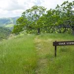 Oak View Backpack Camp