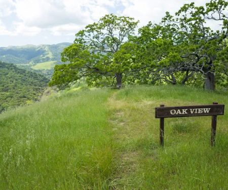 Oak View Backpack Camp