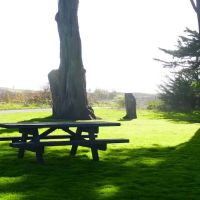 Sweetwood Camp ico