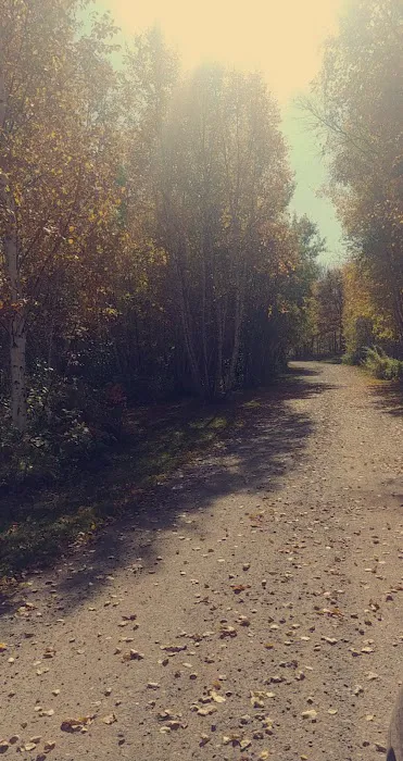 Why Not Park Picture 1