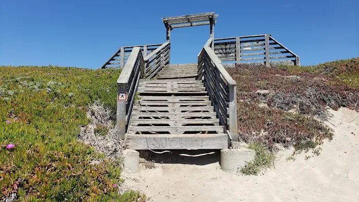 Francis Beach Campground Picture 3