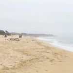 Francis Beach Campground