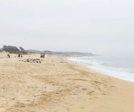 Francis Beach Campground