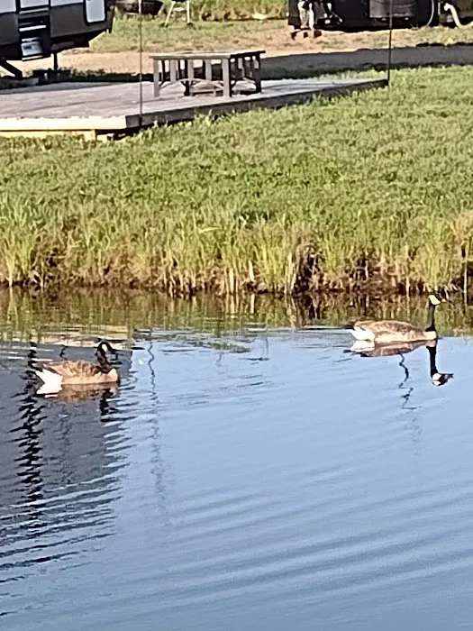 Wealthwood RV Resort Picture 5