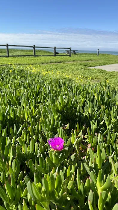 Half Moon Bay State Park Picture 6