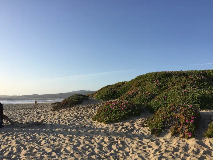 Half Moon Bay State Park Picture 9