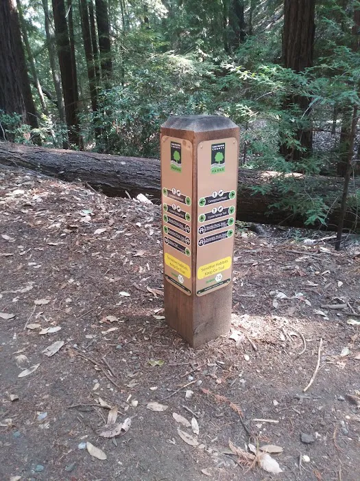 Toyon Campground Picture 1
