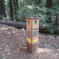 Toyon Campground ico