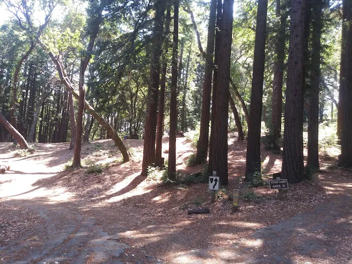 Toyon Campground Picture 3