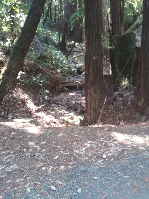 Toyon Campground Picture 8