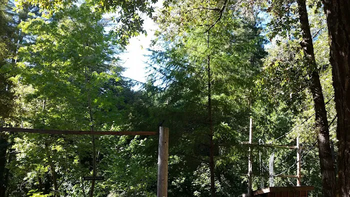 Camp Liahona Redwoods Picture 5