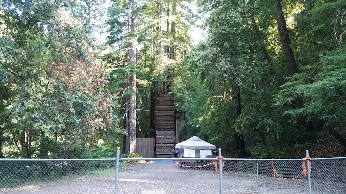Camp Liahona Redwoods Picture 4