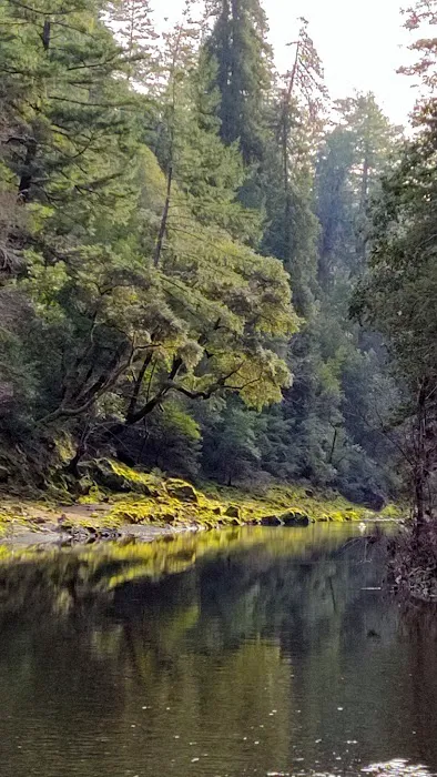 Camp Liahona Redwoods Picture 7
