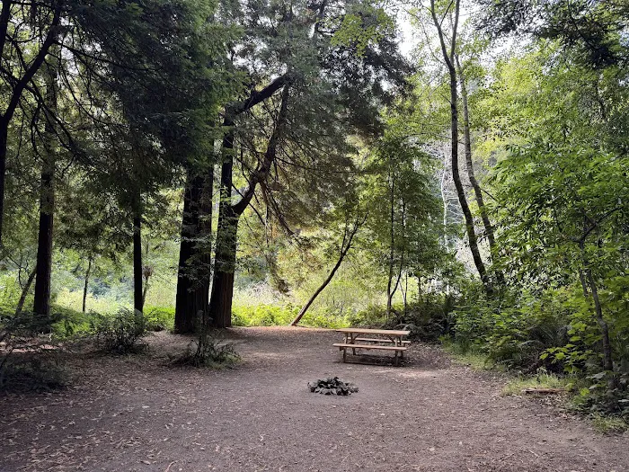 Gualala River Redwood Park Picture 3