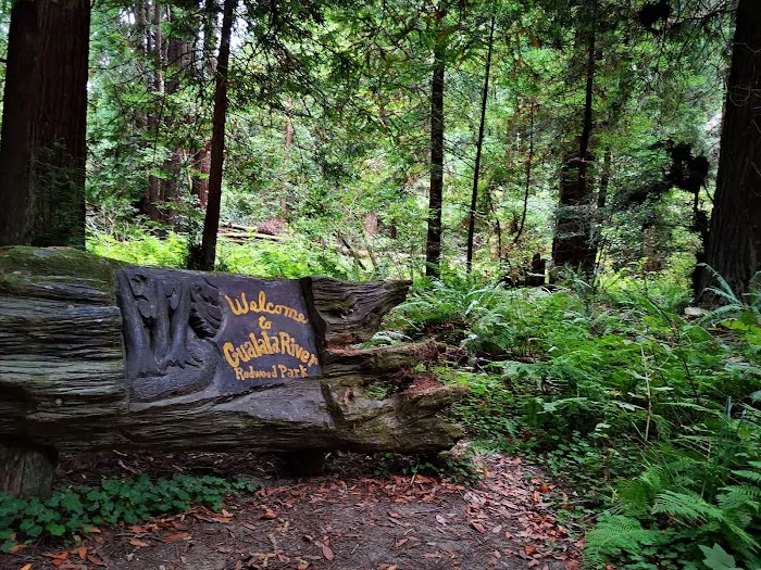 Gualala River Redwood Park Picture 6