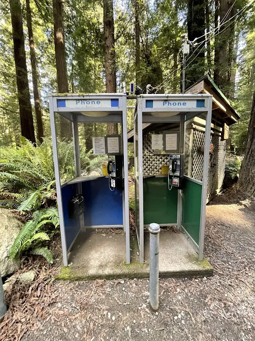 Gualala River Redwood Park Picture 10