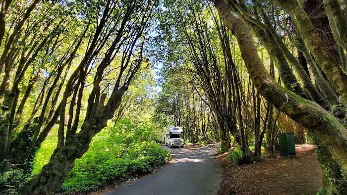 Gualala Point Regional Park Campground Picture 2