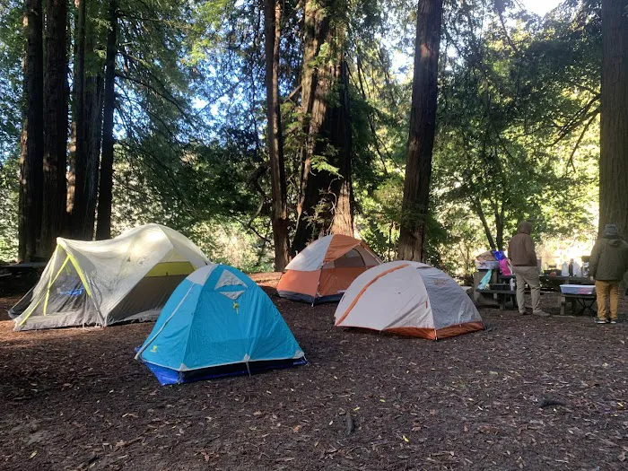 Gualala Point Regional Park Campground Picture 6